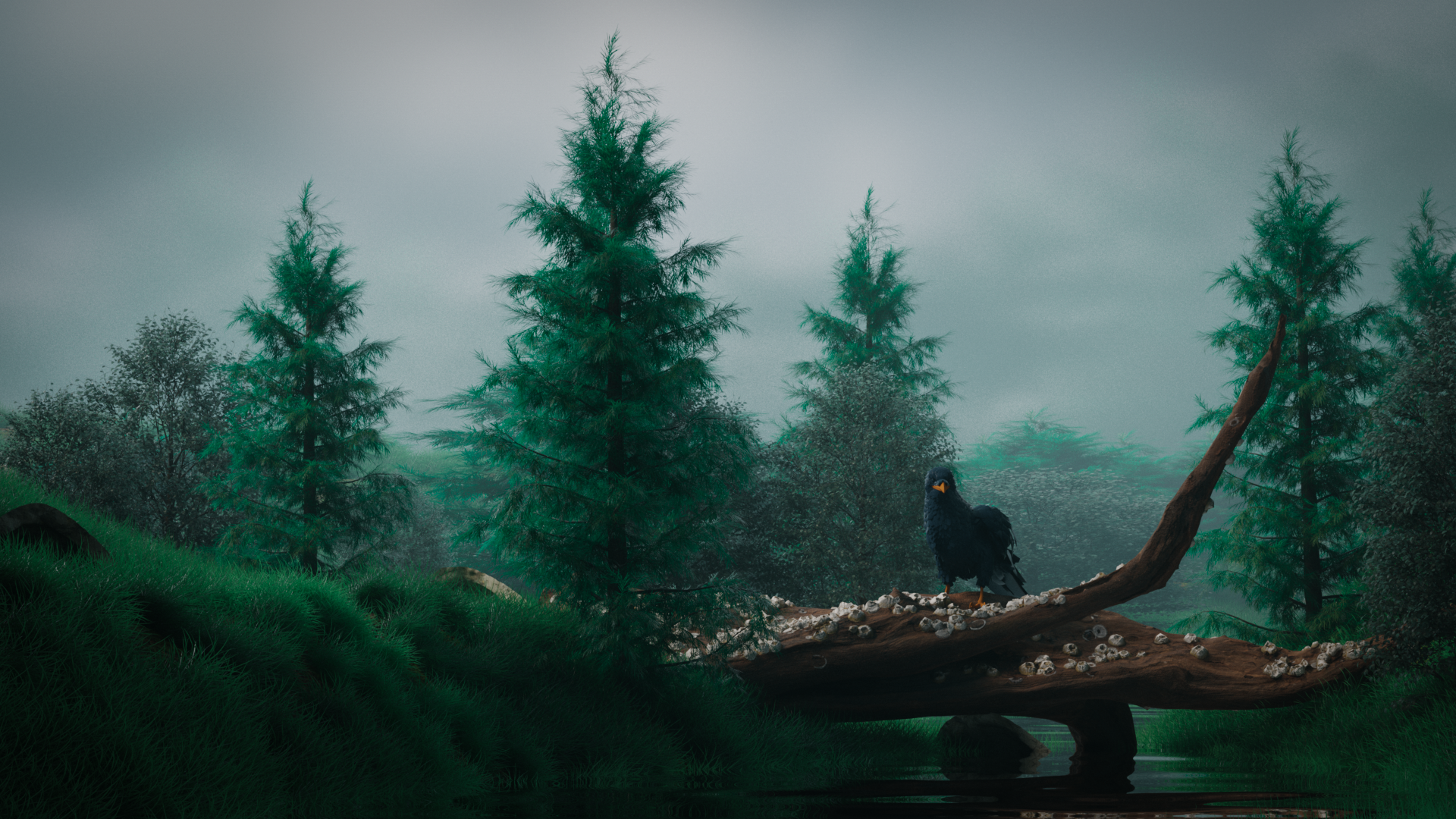 MORE image study