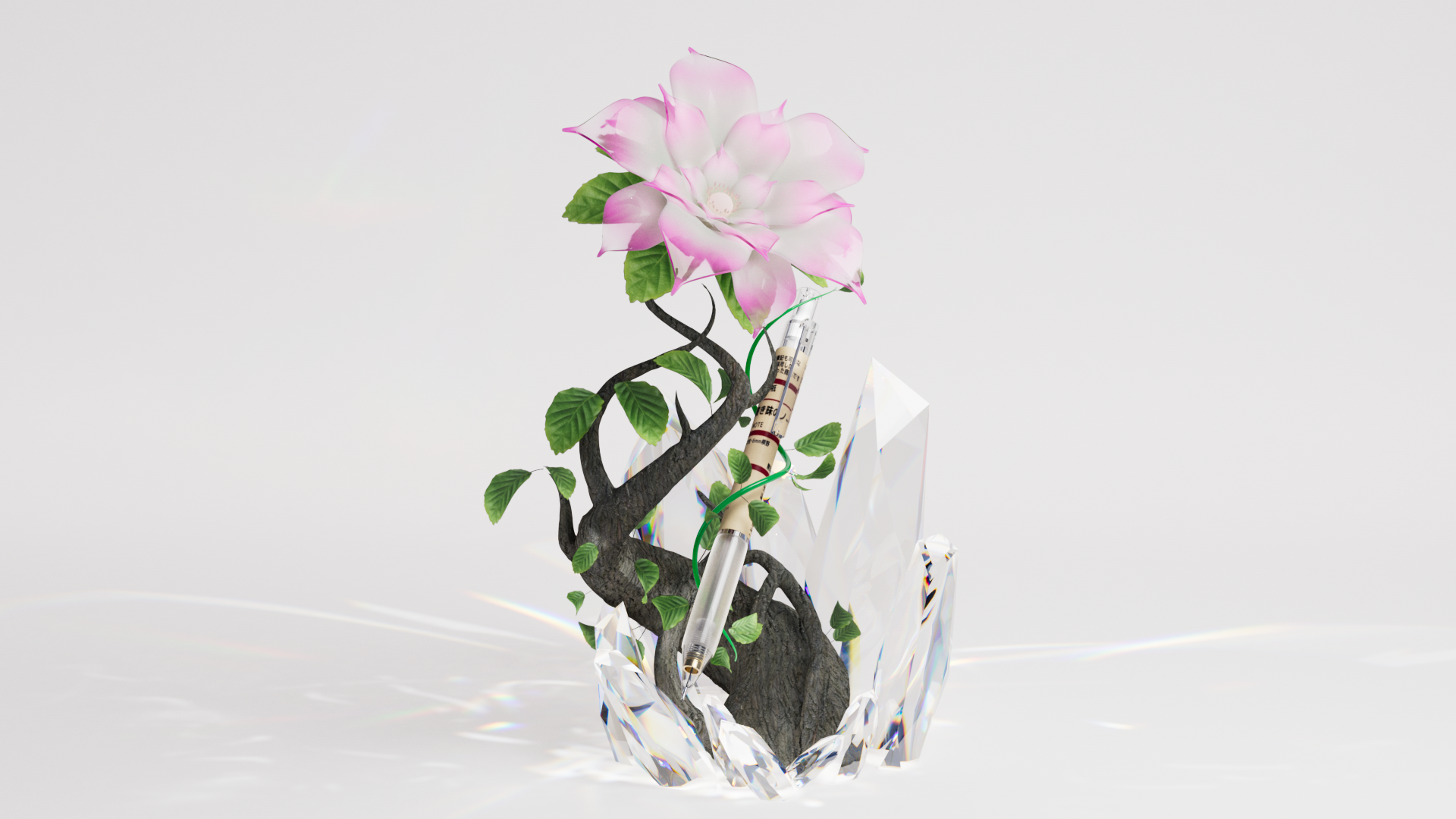 MORE render study
